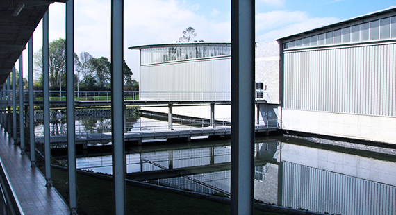 FUNCIÓN ECOLÓGICA DE LA PROPIEDAD Y PLANIFICACIÓN AMBIENTAL EN COLOMBIA